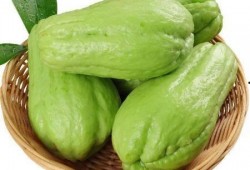 鲜包瓜怎样吃,鲜包瓜的多重美味吃法探索