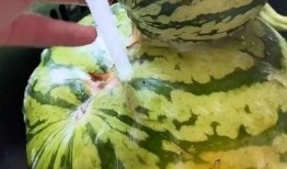 快乐吃瓜视频大全,快乐吃瓜视频大全回顾