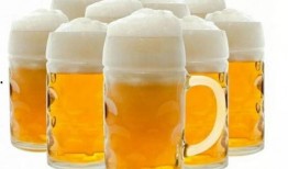 请柠吃瓜啤酒评测,口感与风味的完美邂逅