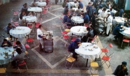 宁东铝厂吃瓜,揭秘我国铝业巨头背后的“吃瓜”故事