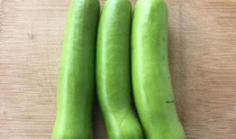 香菇瓜怎么吃,香菇瓜的多样美味吃法探索