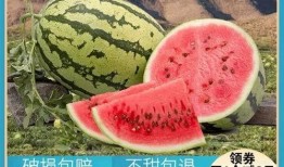 以前吃的瓜是真的吗,那些年我们误信的“瓜”，真相究竟如何？