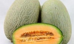 中班吃哈密瓜