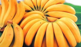 蕉蕉吃不饱吃瓜,探寻水果界的美食奥秘