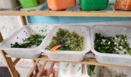 莴瓜咋吃,探索莴瓜的多样美味