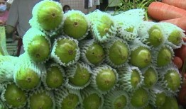 吃葫芦瓜减肥,轻松享瘦的秘密武器