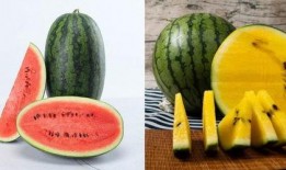 5kl吃瓜,揭秘娱乐圈幕后故事