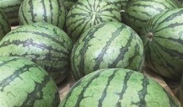 大北头吃瓜视频,揭秘娱乐圈幕后故事