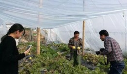 吃瓜群众山西运城,瓜果飘香，民俗风情浓