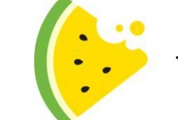 吃洋瓜视频全集,一场味蕾与文化的盛宴