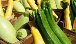 311吃瓜,网络舆论的狂欢与反思