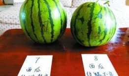 梦见吃瓜好吃甜,揭秘“吃瓜好吃甜”的梦境寓意