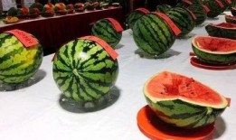 农村节日吃瓜视频,瓜果飘香，共度欢乐农村节日