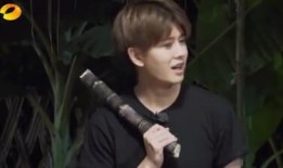 任嘉伦在线吃瓜,揭秘娱乐圈幕后故事