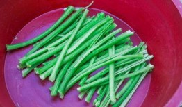 吃什瓜下火,吃什瓜下火，清凉一夏