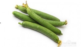 北二外吃瓜,揭秘校园热点背后的故事