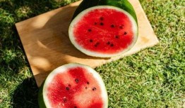 吃瓜世界全集,揭秘娱乐圈背后的真相与秘密