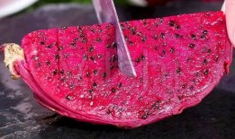 解剖吃瓜事件,揭秘网络舆论背后的真相与反思