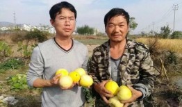 吃瓜群众山西运城,瓜果飘香，民俗风情浓