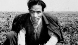 焦裕禄在田里吃瓜,践行为民初心