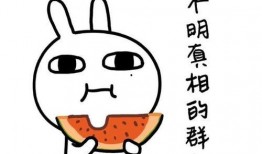 吃瓜小江,揭秘娱乐圈那些不为人知的幕后故事