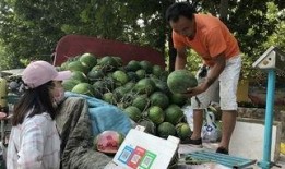 历年吃瓜事件,回顾那些年我们一起“吃瓜”的精彩瞬间