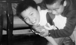 吃洋瓜视频全集,一场味蕾与文化的盛宴