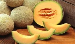 月子期吃火龙果和哈密瓜,月子期间火龙果与哈密瓜的营养搭配与食用建议