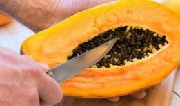 吃瓜老谭,揭秘娱乐圈背后的那些事儿