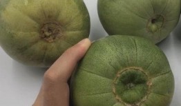 膨大瓜可以吃吗,安全食用与营养价值的探索