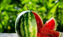 吃瓜别乱吃,吃瓜需谨慎，别乱吃！