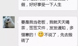 吃瓜离职图文,揭秘职场“瓜田”背后的离职真相