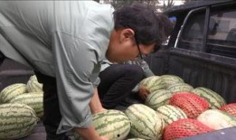 希望大家开心吃瓜,共享快乐滋味