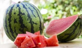 每天运动吃瓜,畅享生活，瓜果相伴