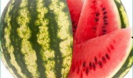 天天吃葫芦瓜好吗,健康生活每一天