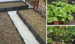 乌鲁木齐楼顶吃瓜,夏日纳凉新风尚