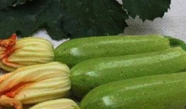 直播吃西葫芦吃瓜视频,网红主播现场品尝西葫芦，吃瓜群众围观热议