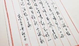 吃瓜圈子怎么写,揭秘网络舆论的真相