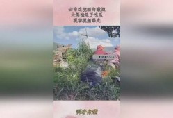 缅甸边境吃瓜,一场别开生面的“吃瓜”盛宴