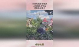 缅甸边境吃瓜,一场别开生面的“吃瓜”盛宴