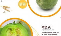 绿脆瓜怎么吃,探索美味与健康的完美结合