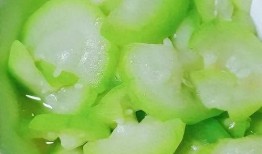 蒲瓜什么季节吃