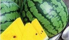 解渴吃瓜段子,笑谈人生百态