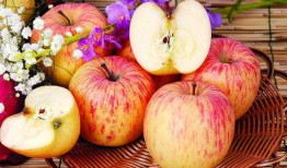 苹果和麻瓜可以吃吗英语,Can Apples and Muggles Consume the Same Foods?