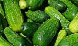 为什么吃瓜不说名字,为何不说名字？