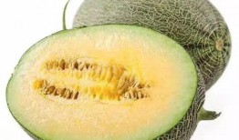 2018b萌吃瓜,盘点那些年我们一起追的萌战风云