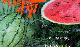 为何都在吃瓜,为何全民热衷于围观热点事件？