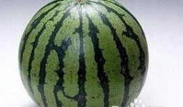 鲜包瓜怎样吃,鲜包瓜的多重美味吃法探索