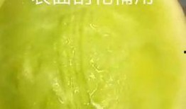 蜜瓜冻着吃,蜜瓜冻品新体验