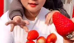 草莓小姐吃瓜,草莓小姐的瓜界探险记